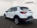 Kia Stonic 1.2 Silber | Werksgarantie | Pickerl Neu Blanc - thumbnail 11