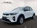 Kia Stonic 1.2 Silber | Werksgarantie | Pickerl Neu Blanc - thumbnail 1