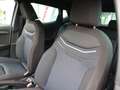 SEAT Ibiza Ibiza 1.0 TSI FR Anniversary Edition 115PS Navi Si Gris - thumbnail 9