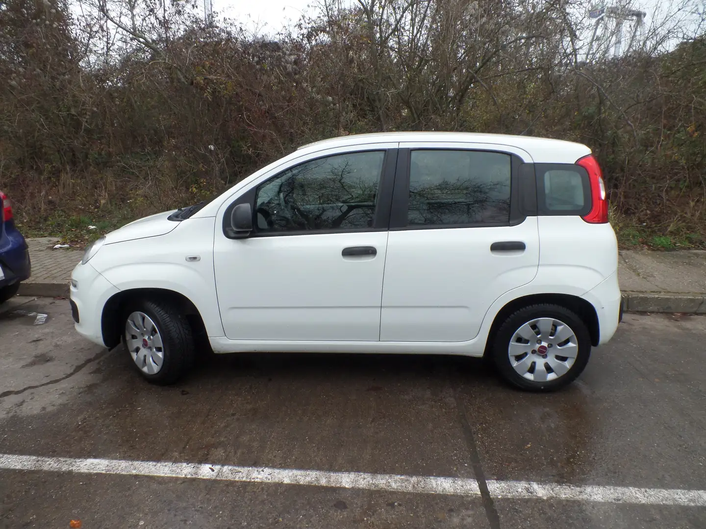 Fiat New Panda MyStyle Bílá - 2