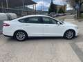 Ford Mondeo Mondeo 1.5TDCI Trend 120 Trend Білий - thumbnail 6