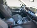 Nissan Qashqai 1.3 DIG-T MHEV 103KW N-CONNECTA 5P Bianco - thumbnail 10