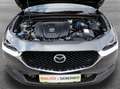 Mazda CX-30 SKYACTIV-G122 Comfort+ Aut.*NAVI*LED*PDC*HEAD U... Gris - thumbnail 22