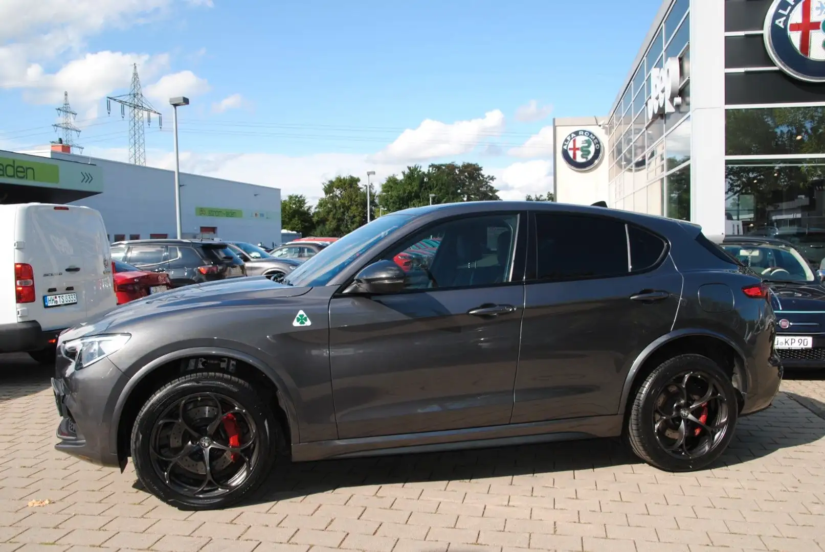 Alfa Romeo Stelvio Quadrifoglio Schiebedach, Alcantara Grau - 2