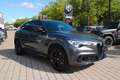 Alfa Romeo Stelvio Quadrifoglio Schiebedach, Alcantara Grau - thumbnail 6