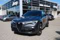 Alfa Romeo Stelvio Quadrifoglio Schiebedach, Alcantara Grau - thumbnail 7
