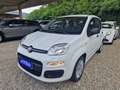 Fiat Panda Panda 1.2 Lounge easypower Gpl 69cv Blanco - thumbnail 1