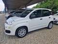 Fiat Panda Panda 1.2 Lounge easypower Gpl 69cv Blanco - thumbnail 2