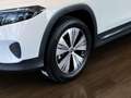 Mercedes-Benz EQB 350 4M Progressive+Pano+KEYLESS+Memory+360-K Weiß - thumbnail 20