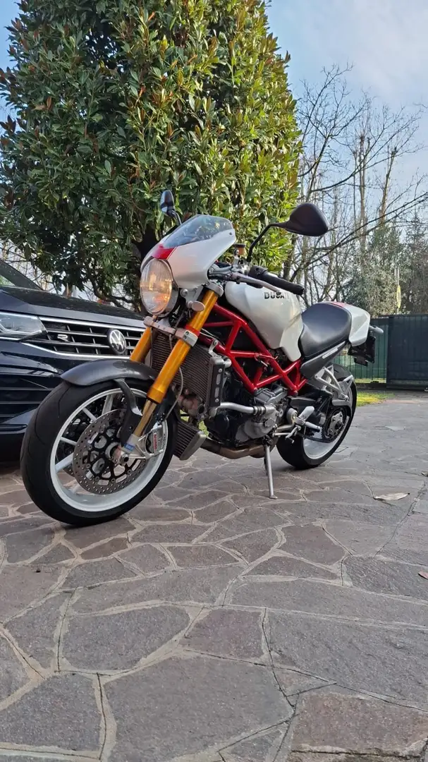 Ducati Monster S4R S4RS Alb - 1
