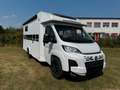 Sonstige Marken T70LS by Hymer, Einzelbetten + Hubbett Weiß - thumbnail 12