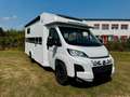 Sonstige Marken T70LS by Hymer, Einzelbetten + Hubbett Weiß - thumbnail 11