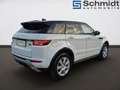 Land Rover Range Rover Evoque SE Dynamic 2,0 TD4 Aut. Weiß - thumbnail 4
