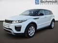 Land Rover Range Rover Evoque SE Dynamic 2,0 TD4 Aut. Weiß - thumbnail 2
