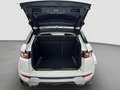 Land Rover Range Rover Evoque Dynamic 2,2 SD4 Aut. Top gepflegt Weiß - thumbnail 15