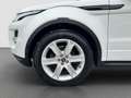 Land Rover Range Rover Evoque Dynamic 2,2 SD4 Aut. Top gepflegt Weiß - thumbnail 6