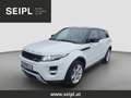 Land Rover Range Rover Evoque Dynamic 2,2 SD4 Aut. Top gepflegt Weiß - thumbnail 1