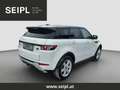 Land Rover Range Rover Evoque Dynamic 2,2 SD4 Aut. Top gepflegt Weiß - thumbnail 4