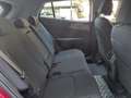 Kia Sportage Sportage V 2022 1.6 tgdi mhev Business 160cv mt Rouge - thumbnail 12
