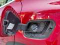 Kia Sportage Sportage V 2022 1.6 tgdi mhev Business 160cv mt Rouge - thumbnail 29