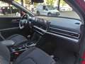Kia Sportage Sportage V 2022 1.6 tgdi mhev Business 160cv mt Rouge - thumbnail 10