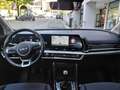 Kia Sportage Sportage V 2022 1.6 tgdi mhev Business 160cv mt Rouge - thumbnail 8