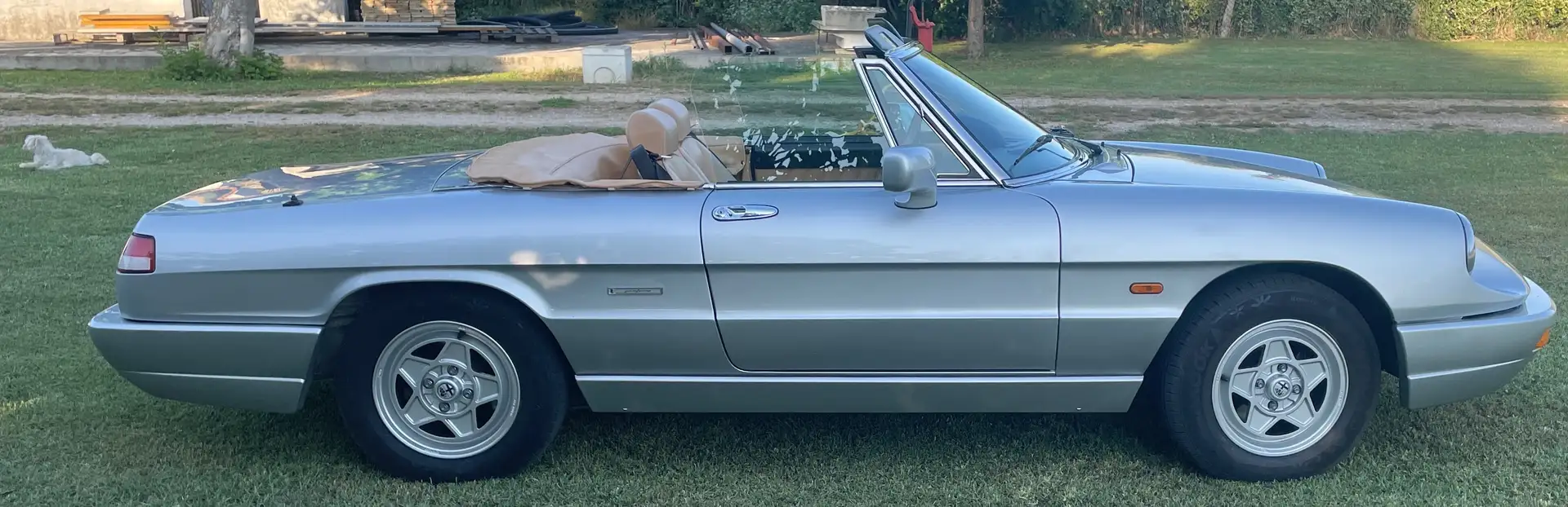 Alfa Romeo Spider Spider 1.6 my90 Gris - 2