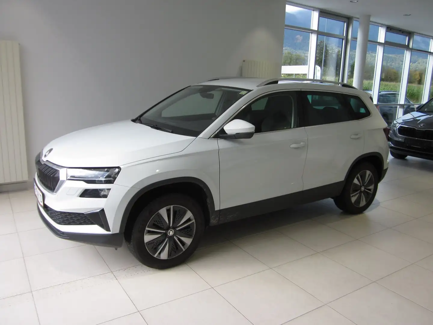 Skoda Karoq 4x4 Style TDI DSG Bianco - 2
