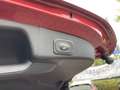Ford Focus Wagon 1.5 EcoBoost Vignale 150pk/110kW Automaat | Rood - thumbnail 16