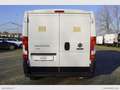 Fiat Ducato 33 2.3 MJT 140CV PM-TN Furgone Euro 6D-Temp Blanc - thumbnail 5