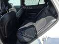 Kia Sportage 1,6 TGDI PHEV AWD GT-Line Aut. Weiß - thumbnail 19
