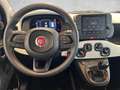 Fiat Panda Pandina Cross Look MHEV 70 Blau - thumbnail 14