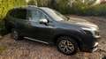 Subaru Forester 2.0ie Active  Lineartronic* Grey - thumbnail 4