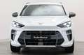 CUPRA Terramar 1.5 eTSI DSG Matrix HUD 360° Navi ACC Weiß - thumbnail 4