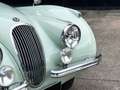 Jaguar XK Cab. - thumbnail 14