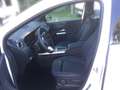 Mercedes-Benz B 200 Progressive Line Advanced, Winter Paket Weiß - thumbnail 8