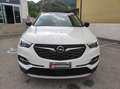 Opel Grandland Grandland X 1.5 diesel Ecotec Start&Stop Innovati Wit - thumbnail 4