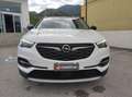 Opel Grandland Grandland X 1.5 diesel Ecotec Start&Stop Innovati Wit - thumbnail 5