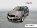 Skoda Kamiq Selection TSI DSG Grau - thumbnail 1