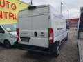 Fiat Ducato L3/H2 Maxi NETTO 20.500.- Ohne Anzahlung 499.-/M. Weiß - thumbnail 5