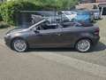 Volkswagen Golf Cabriolet 1.4 TSI CUP uitvoering CABRIOLET CUP UITVOERING ** Brun - thumbnail 8