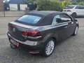 Volkswagen Golf Cabriolet 1.4 TSI CUP uitvoering CABRIOLET CUP UITVOERING ** Brun - thumbnail 13