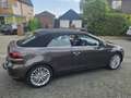 Volkswagen Golf Cabriolet 1.4 TSI CUP uitvoering CABRIOLET CUP UITVOERING ** Brun - thumbnail 12