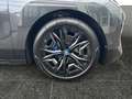 BMW iX xDrive40 Sportpaket Head-Up HK HiFi DAB LED Grau - thumbnail 9