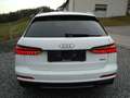 Audi A6 Avant 50 TDI Quattro S-Line Sport 1-Hand Weiß - thumbnail 5