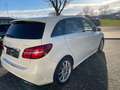 Mercedes-Benz B 220 B 220 4Matic AMG Paket aus 2.Hand+Scheckheft Weiß - thumbnail 3
