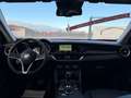 Alfa Romeo Stelvio Q4 2.2 - MEGA FAHRZEUG - Rot - thumbnail 23