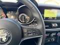 Alfa Romeo Stelvio Q4 2.2 - MEGA FAHRZEUG - Rot - thumbnail 37