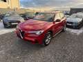 Alfa Romeo Stelvio Q4 2.2 - MEGA FAHRZEUG - Rot - thumbnail 6