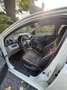 Suzuki Alto 1.0i GL Airco Blanc - thumbnail 13